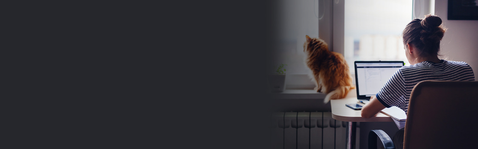 Woman working on laptop at desk with orange cat sitting nearby looking out the window