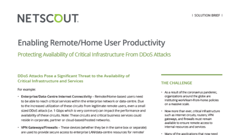 Enabling Remote-Home User Productivity